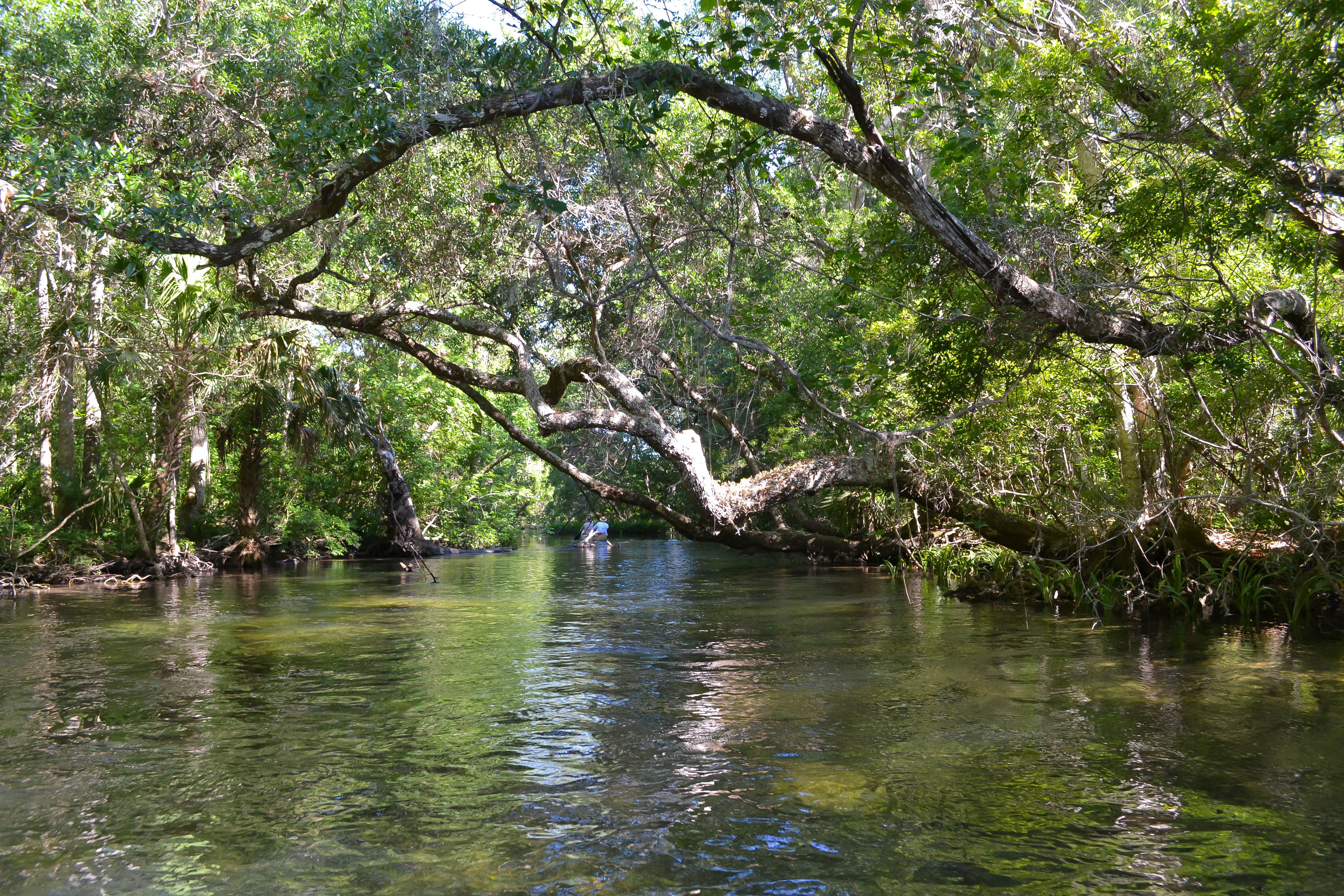 Wacissa River